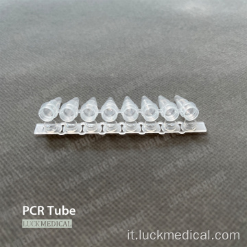Centrifuga in plastica del tubo a strisce PCR